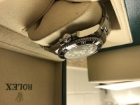 IMG_1247.jpg IMG_1247.jpg