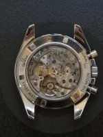 IMG_20190101_092527.jpg IMG_20190101_092527.jpg