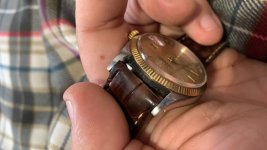 5E1AEF8F-1F53-4BF1-A04D-9A9F2D23F797.jpg 5E1AEF8F-1F53-4BF1-A04D-9A9F2D23F797.jpg