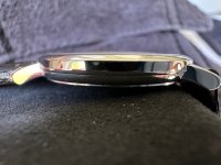 IMG_3239.jpeg
