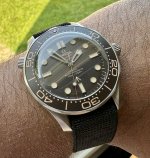 IMG_6976.jpeg