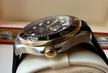 IMG_6984.jpeg