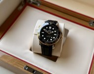 IMG_6982.jpeg