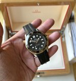 IMG_6989.jpeg