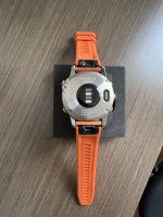 IMG_3750.jpeg