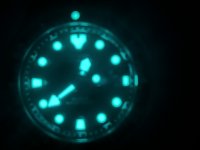 CITIZEN DIVER (3).JPG