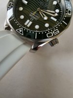 20230625_115035.jpg