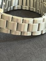 Citizen diver (7).JPG