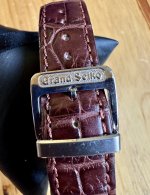 IMG_8695.jpeg