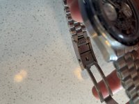 IMG_3902.jpeg