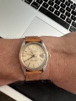 IMG_5356.jpeg