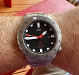 IMG_5587.jpeg