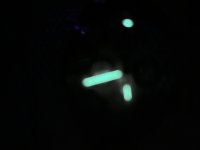 White dial Seiko lume.JPG