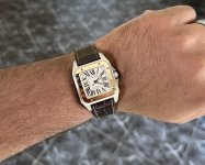 IMG_7880.jpeg