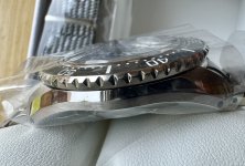 IMG_8444.jpeg