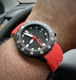 IMG_9809.jpeg