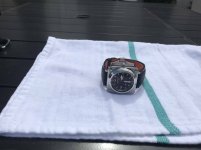 IMG_4095.jpeg