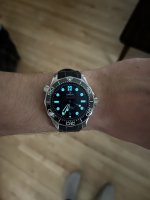 IMG_8387.jpeg