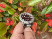 IMG_5601.jpeg