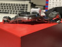 IMG_8307.jpeg