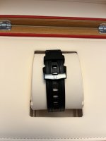 IMG_6166.jpeg