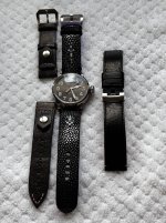 IMG_4382.jpeg