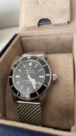 IMG_4217.jpeg