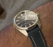 IMG_2799.jpeg
