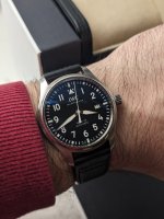 IMG_6463_1_compressed_2023_11_11_184913.jpeg