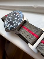 IMG_8356.jpeg