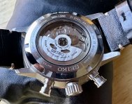 IMG_3010.jpeg