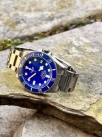 Tudor 4.jpg