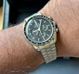 IMG_3295.jpeg