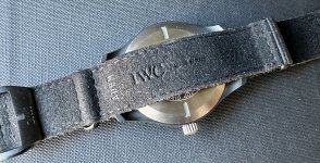IMG_3025.jpeg