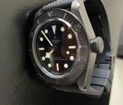 IMG_4393.jpeg