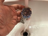 IMG_0875.jpeg