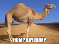 hump day.jpg