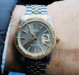 IMG_6326.jpeg