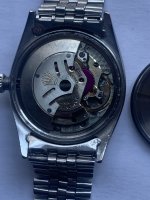 IMG_4960.jpeg IMG_4960.jpeg