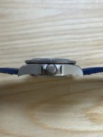 Pelagos crown.jpeg