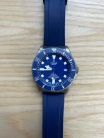 Pelagos front.jpeg