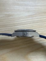 Pelagos side.jpeg