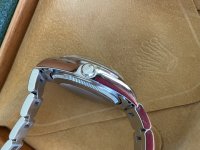 IMG_4513.jpeg