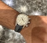 IMG_4993.jpeg