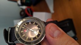 IMG_20191111_073842.jpg
