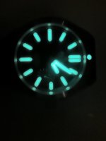 ALPINA LUME.JPG