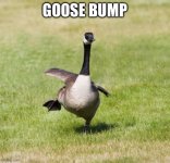 IMG_3594.jpeg