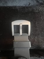 IMG_5446.jpeg