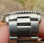 IMG_6586.jpeg