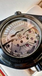 IMG_6821.jpeg